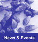 News and Events
